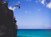Dream Meaning of Jumping Off A Cliff