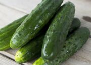 Dream Meaning of Cucumber