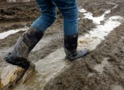 Dream Meaning of Mud