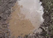 Dream Meaning of Muddy Water