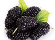 Dream Meaning of Mulberries