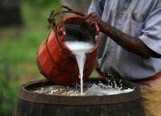Dream Meaning of Palm Wine