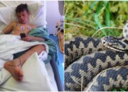 Dream Meaning of Snake Biting Someone