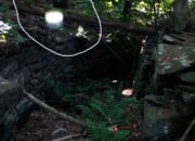 Dream Meaning of Orbs