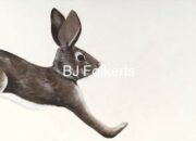 Dream Meaning of A Rabbit Chasing A Ball
