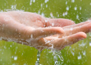 Dream Meaning of Rain Water