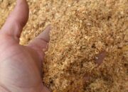 Dream Meaning of Sawdust