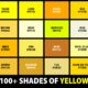 Dream Meaning of Yellow Colour