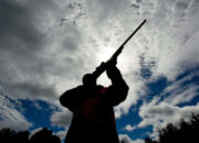 Dream Meaning of A Shooting