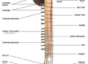 Dream Meaning of Sitar Music