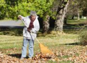 Dream Meaning of Cleaning Leaves