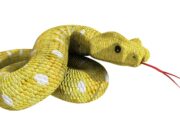 Dream Meaning of A Snake