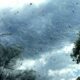 Dream Meaning of Spiders Everywhere