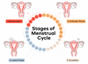 Dream Meaning of Seeing Your Menstruation