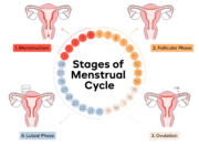 Dream Meaning of Period