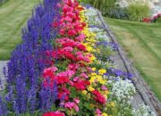 Dream Meaning of Flower Garden