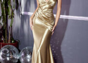 Dream Meaning of Gown