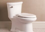 Dream Meaning of Toilet