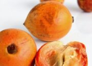 Dream Meaning of African Star Apple
