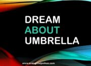 Dream Meaning of Umbrella By Evangelist Joshua