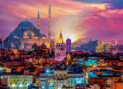 Dream Meaning of Turkey