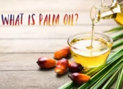 Dream Meaning of Palm Oil