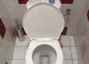 Dream Meaning of Toilet Bowl