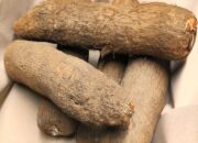 Dream Meaning of Buying Yam