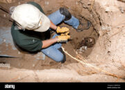 Dream Meaning of Exhuming Dead Body