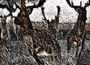 Dream Meaning of A Stampede Of Deer