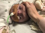 Dream Meaning of Seeing A Dead Baby