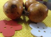 Dream Meaning of Agbalumo