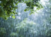 Dream Meaning of Rain