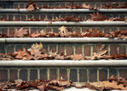 Dream Meaning of Jumping Off Leaves To Go Down Stairs