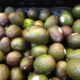 Dream Meaning of Avocados