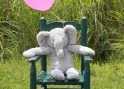 Dream Meaning of A Baby Link Elephant