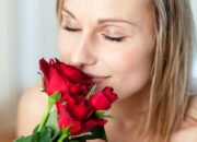 Dream Meaning of Smelling Roses
