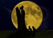 Dream Meaning of Being Hunted