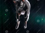 Dream Meaning of Black Cat Jumping On You