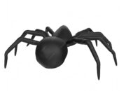 Dream Meaning of Big Black Spider