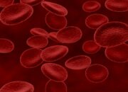 Dream Meaning of Blood