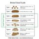 Dream Meaning of Passing Stool