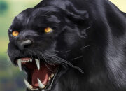 Dream Meaning of Black Panther Attack