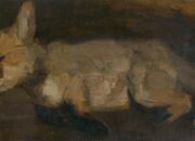 Dream Meaning of A Dead Fox