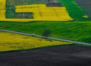 Dream Meaning of Driving A Car Passing By A Field