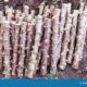 Dream Meaning of Cassava Stem