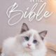 Dream Meaning of Cats Bible