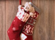 Dream Meaning of Stocking