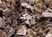Dream Meaning of Clay Soil