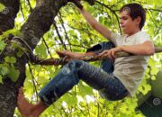 Dream Meaning of Climbing Tree